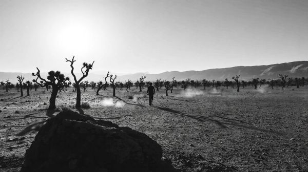 Étudier les conséquences de l'apartheid sur les droits humains Sud-Africains